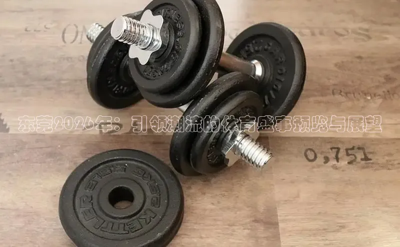 飞速体育直播